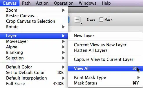 layer3 layer3
