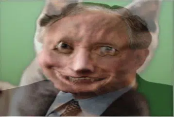 face7 face7